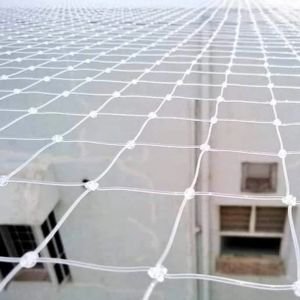 Pigeon Netting Service